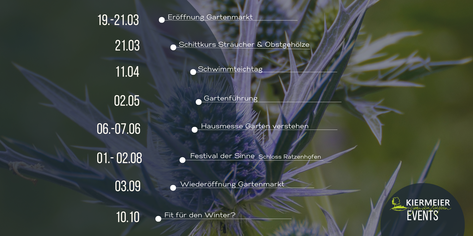 Instabeitrag Kiermeier (Titelbild LinkedIn-Artikel)-2